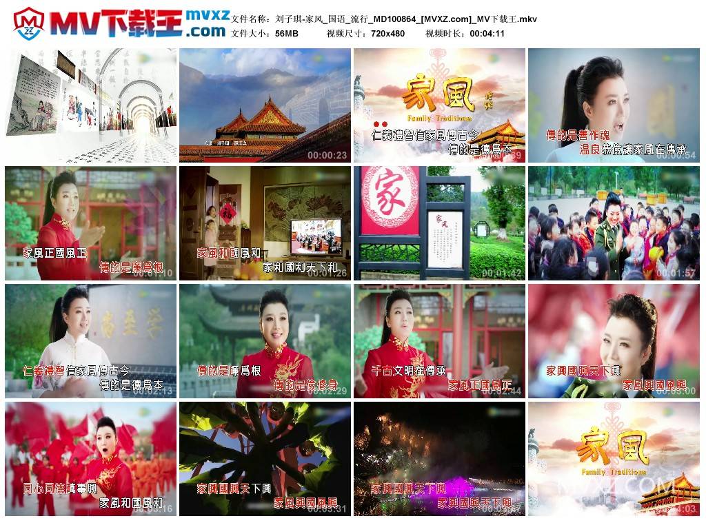 刘子琪-家风_国语_流行_MD100864